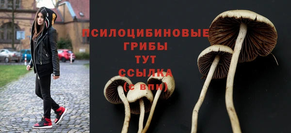сатива Алексин